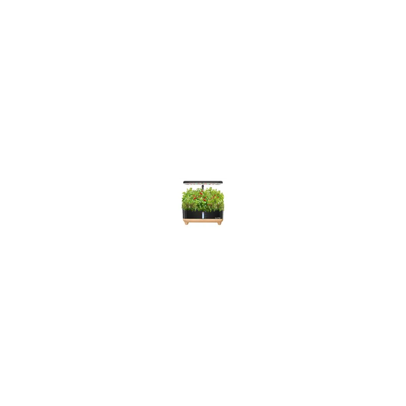 RainPoint Hydroponic Growing Kit